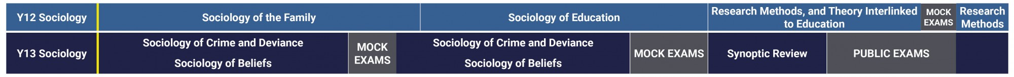 Sociology Curriculum 2021 2022 A Level