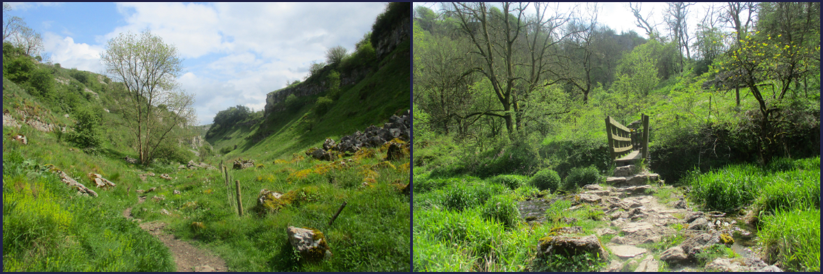 Photos of the lanscape captured by the students
